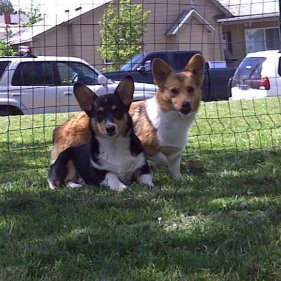 Meet your Posher, Tammy - Picture 1 of 1